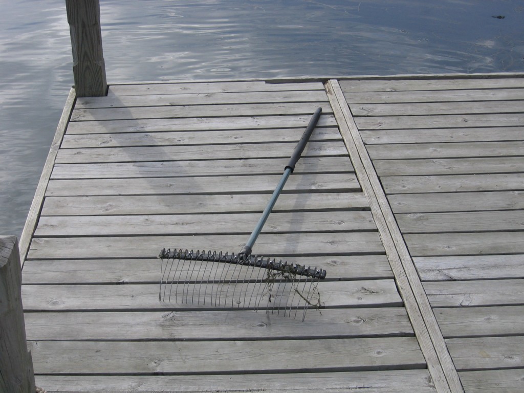 weed rake