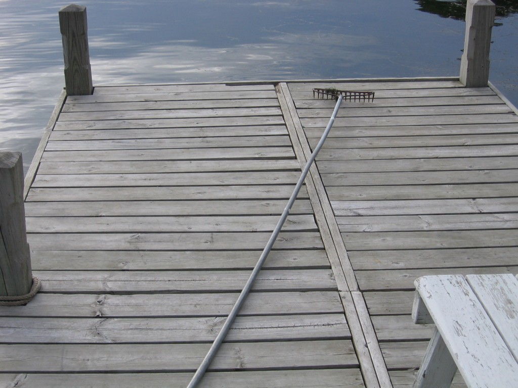 weed rake