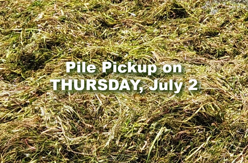 Holiday Lake Weed Pile Pickup Schedule Change